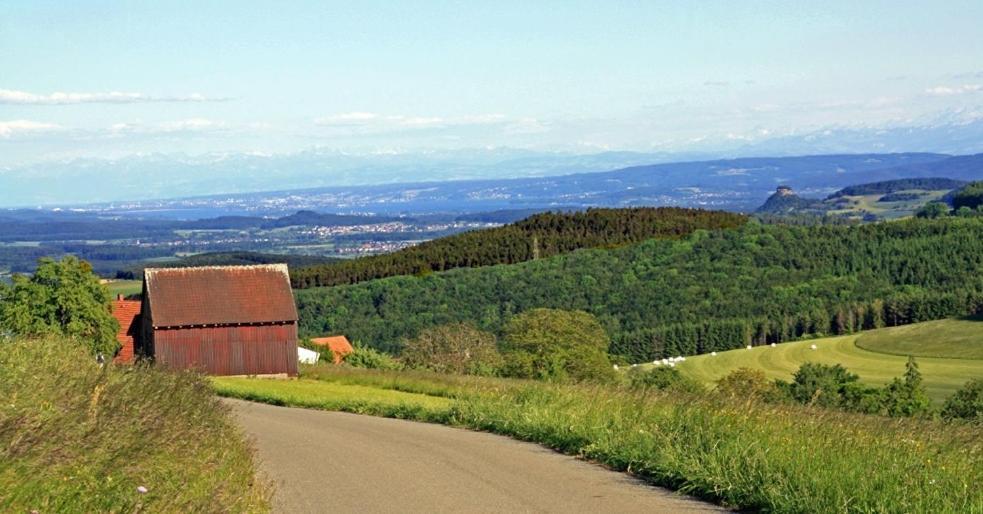 Hegaustern Pension Engen Buitenkant foto