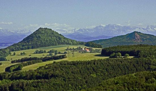 Hegaustern Pension Engen Buitenkant foto